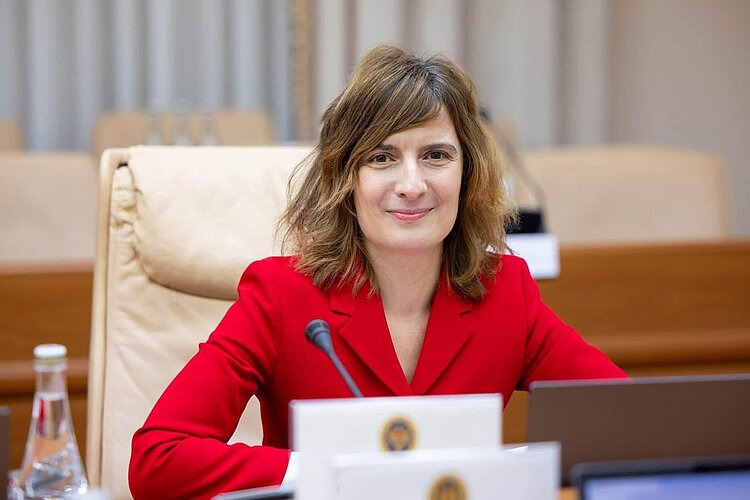 Corina Ajder is the 2026–2027 Henrik Enderlein Fellow