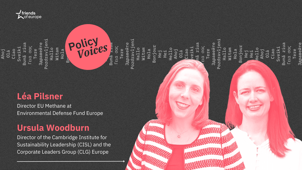 Policy Voices | Cutting methane, cutting uncertainty: energy security and simplification