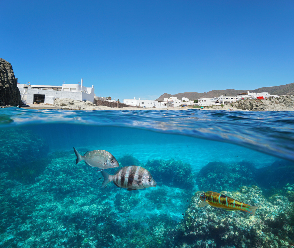 Pourquoi la loi sur les océans est-elle importante pour la mer Méditerranée ?